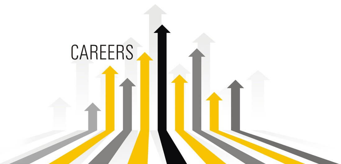 Career growth and career paths